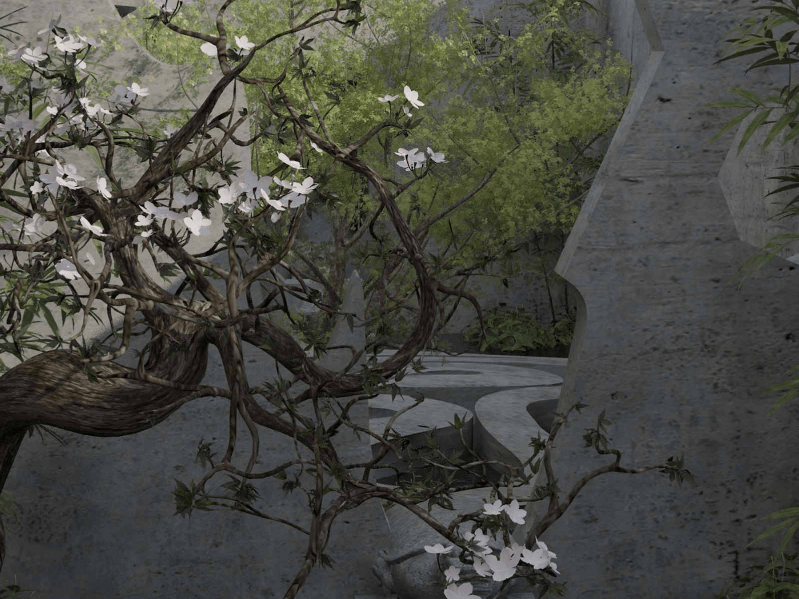 分析！两城一家怎么取消“空谷幽兰”