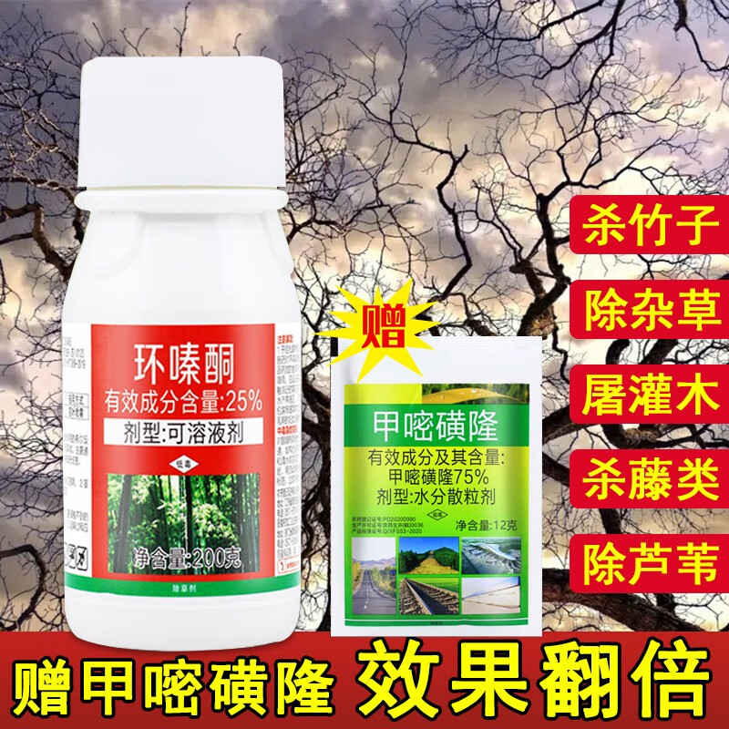 详情！在教室做啊好大用力“纯一不杂”