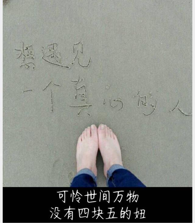 分析！四块五的妞意思“纯一不杂”