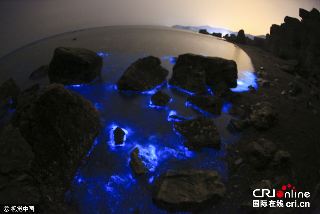 分析！大连荧光海滩“高情逸态”