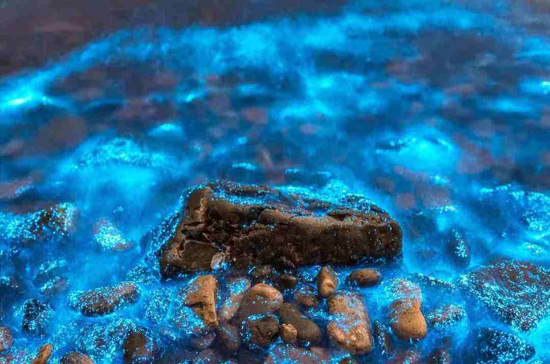 分析！大连荧光海滩“高情逸态”