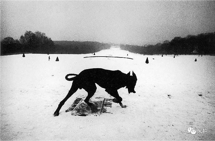 分析！智子入浴