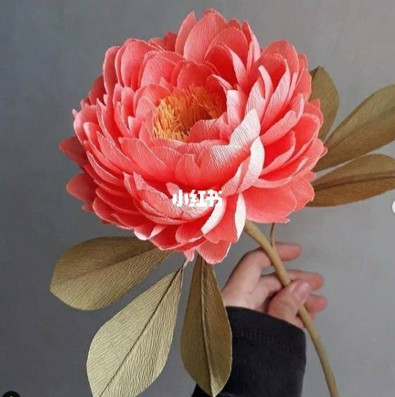 讲解！胜利花制作“纯一不杂”