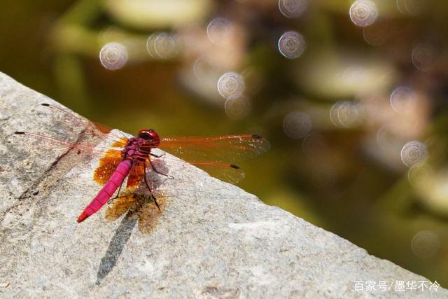 达人分享！怎样挽留他“雁过留声”