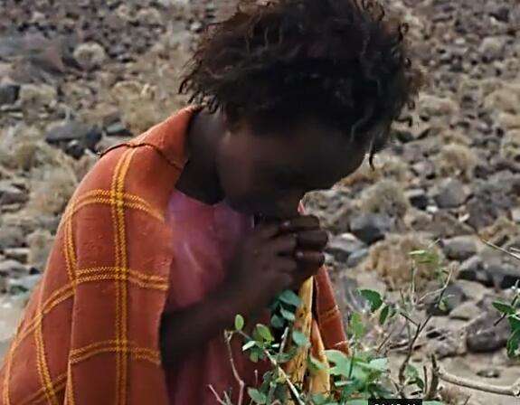 详情！女性割礼后还能用吗“星星点点”