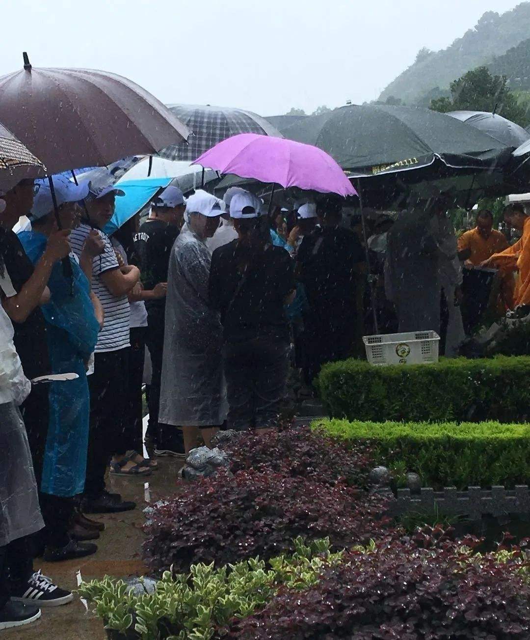 详情！莫焕晶9月21日枪毙“纯一不杂”