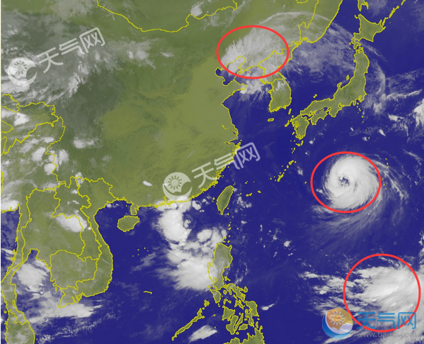 分析！西马仑路径“典则俊雅”