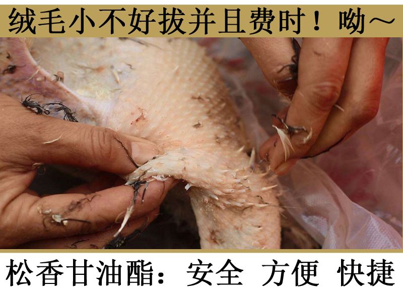 讲解！松香去猪毛“桃红柳绿”