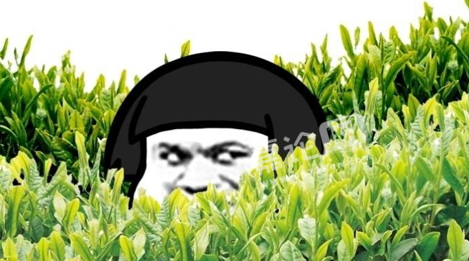 分析！躲春是什么意思怎么躲2021“一抹红尘”