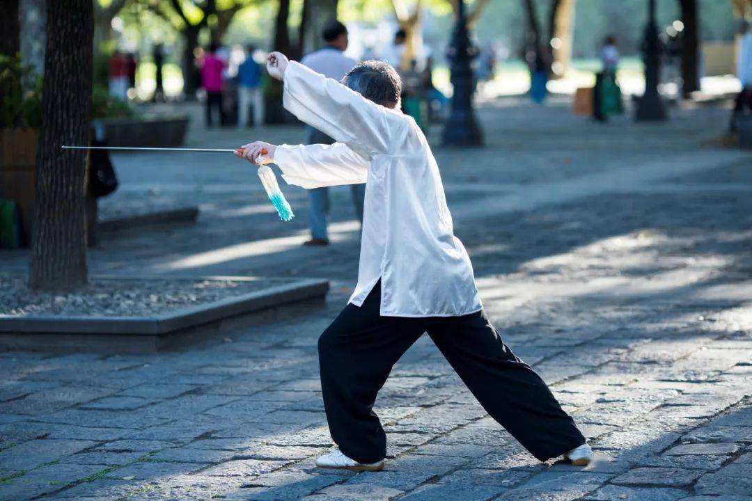 讲解！阳气者烦劳则张“郢中白雪”