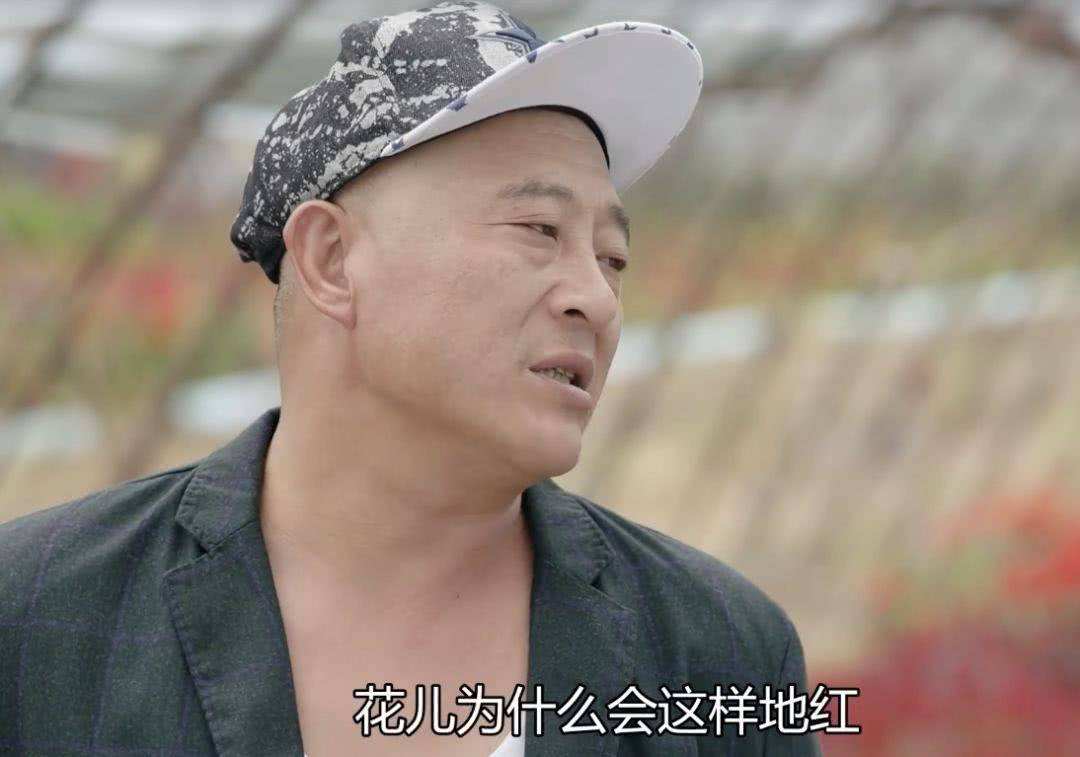 讲解！东北人在三亚被打视频“一抹红尘”