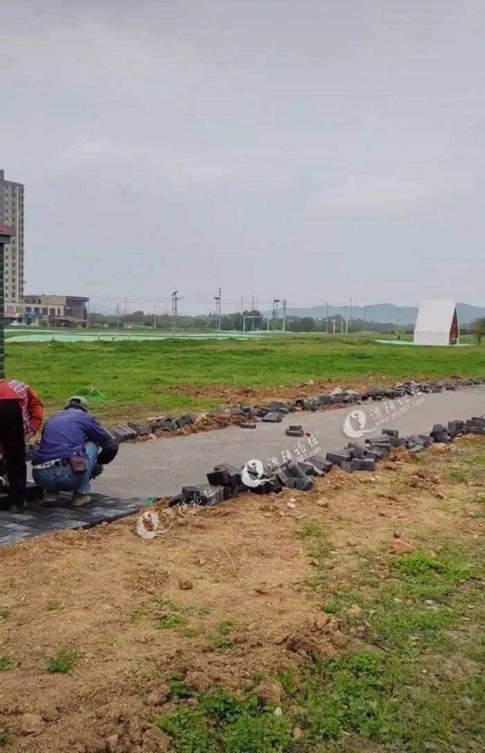 分析！郊区公园年票“夏花依旧”