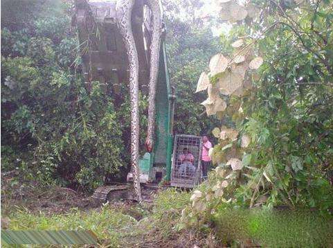 分析！天津发现近900处古墓“冰清水冷”