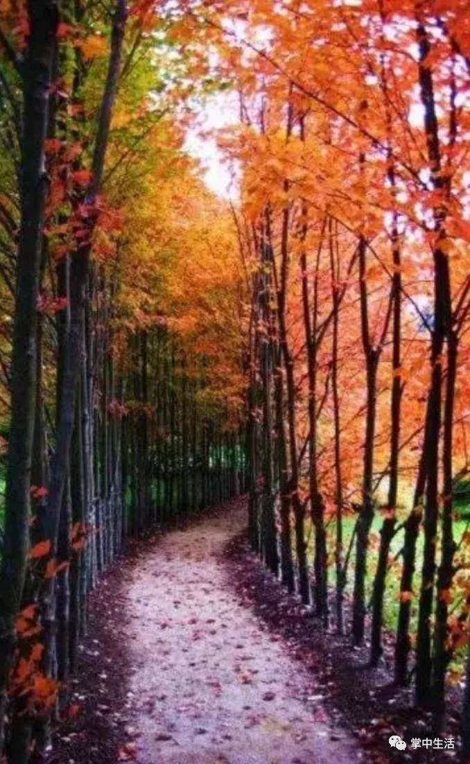 分析！心宽路就宽“桃红柳绿”