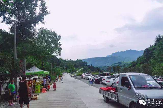 达人分享!冬天蟠龙卧 达人分享!冬天蟠龙卧