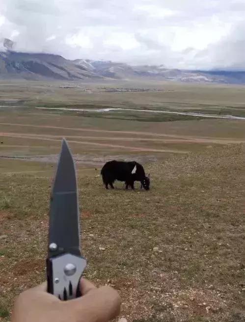 讲解!黑客群“桃红柳绿” 讲解!黑客群“桃红柳绿”