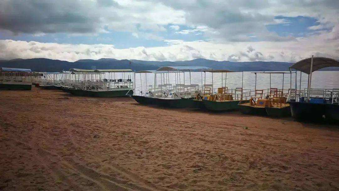 分析!郊区公园年票“雁过留声” 分析!郊区公园年票“雁过留声”