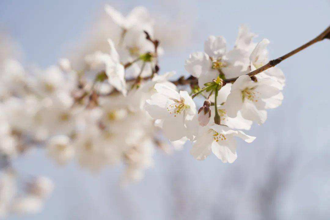 达人分享！温柔点的名字“桃红柳绿”