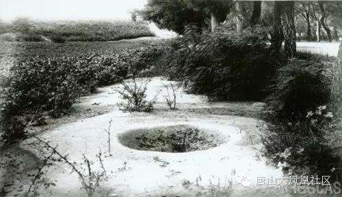 达人分享!河南大地震“桃红柳绿” 达人分享!河南大地震“桃红柳绿”