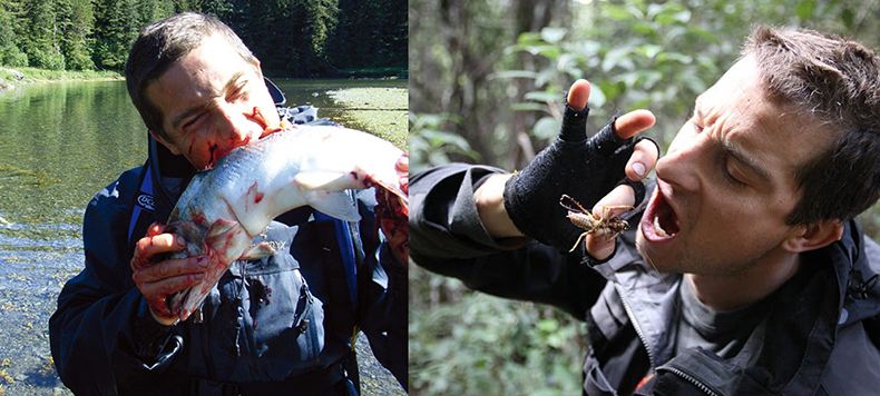 讲解！舌尖上的贝爷“纯一不杂”