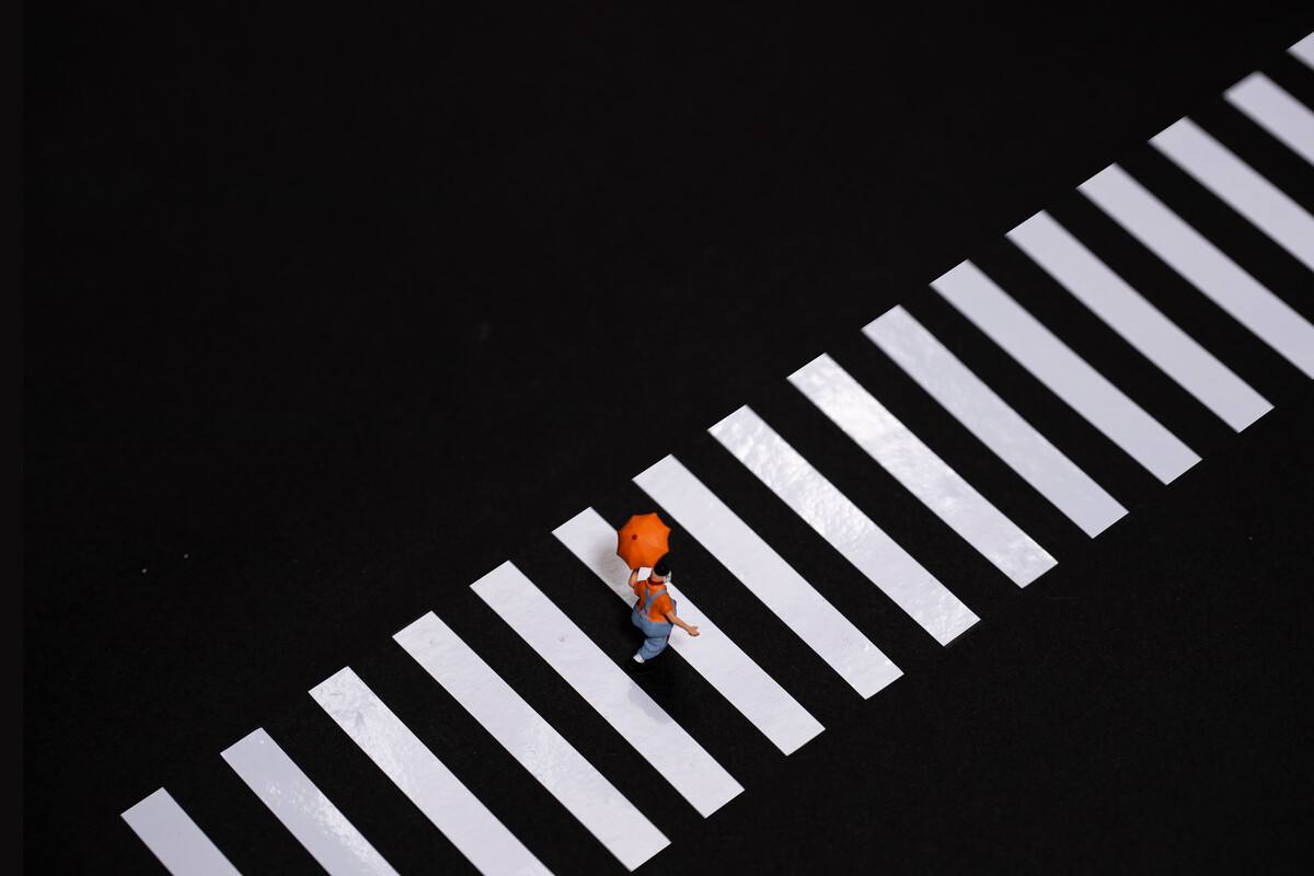 分析！斑马和斑马线有关系吗“一抹红尘”