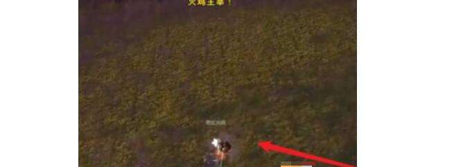 分析！火鸡的末日成就“桃红柳绿”