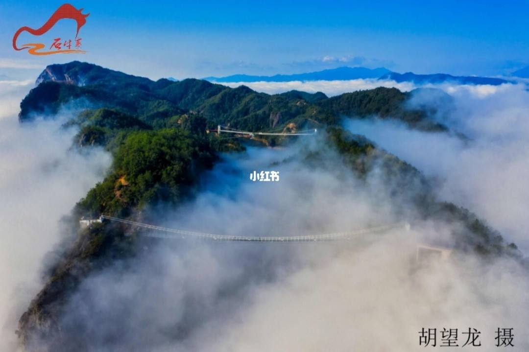 达人分享！成语歪解“一抹红尘”