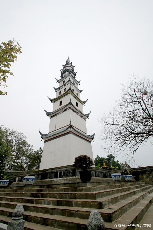 达人分享！隋舍利塔“高情逸态”