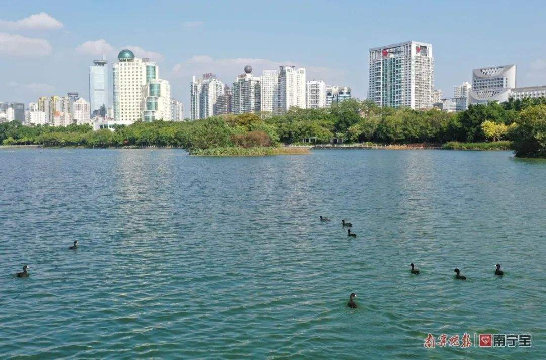 讲解!冬候鸟国语版“纯一不杂” 讲解!冬候鸟国语版“纯一不杂”