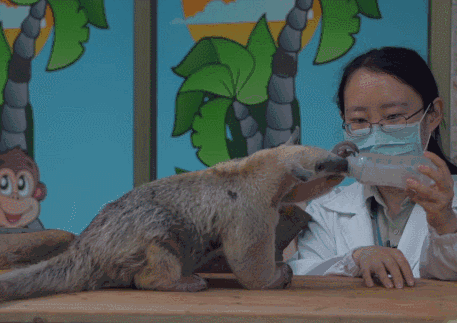 讲解！高中生小后妈“夏花依旧”