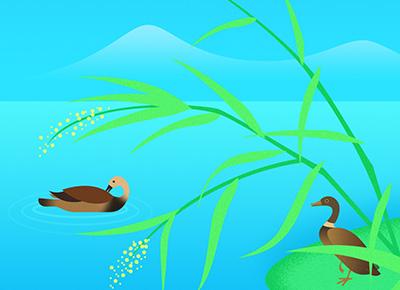 达人分享！2020年2月4日几点立春“雁过留声”