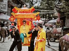 讲解！豹猫多少钱“星星点点”