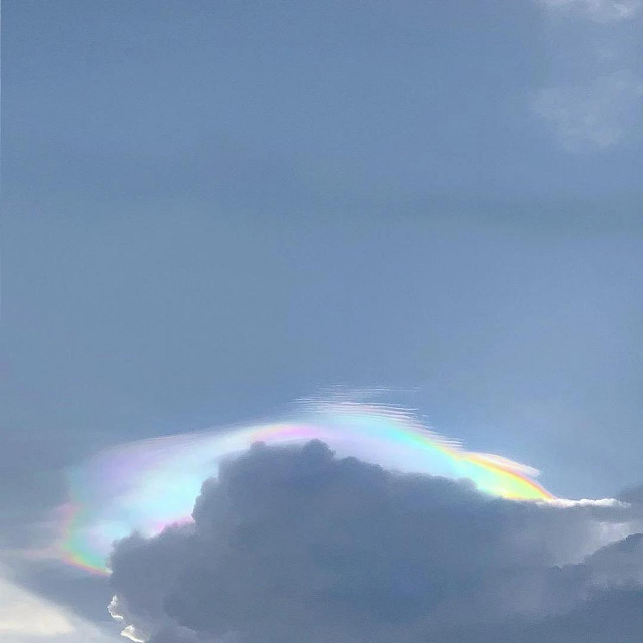 讲解！屈服之疼爱“高情逸态”