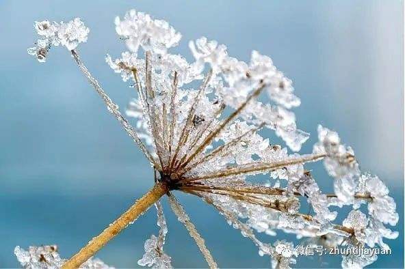 分析！定位怎么定“雁过留声”