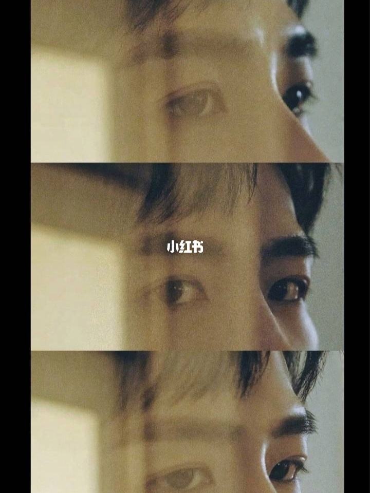 分析！一眼万年是什么意思“桃红柳绿”