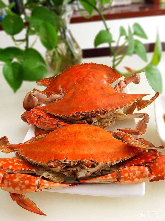 达人分享！熟螃蟹保存“夏花依旧”