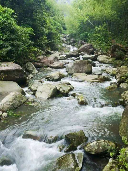 讲解!哥屋恩什么意思“典则俊雅” 讲解!哥屋恩什么意思“典则俊雅”