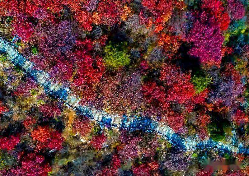 讲解！18岁以上身份证号码“冰清水冷”