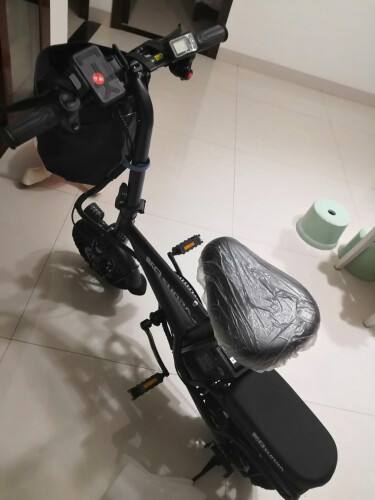 达人分享！电动车电池修复器“桃红柳绿”