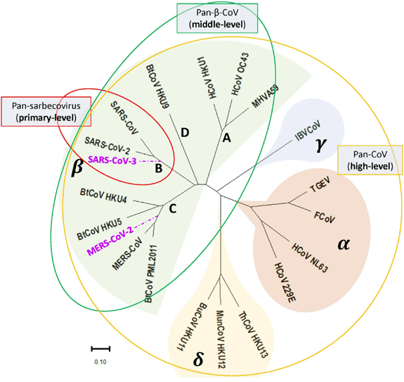 分析！疫苗研发最快一年“郢中白雪”