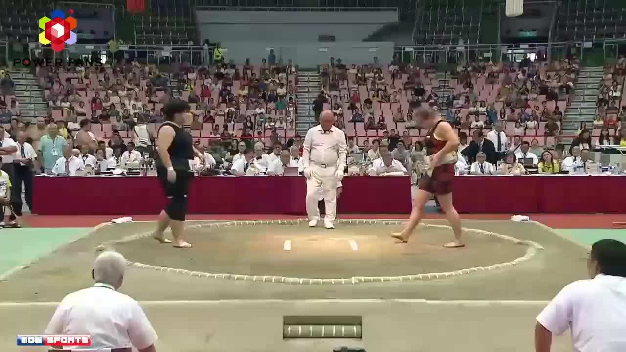 分析！日本大相扑“郢中白雪”