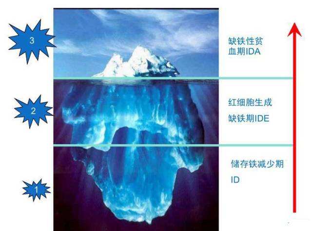 讲解！缺铁吃猪肝还是苹果“典则俊雅”