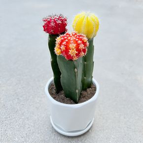 达人分享！招财是女人什么部位“空谷幽兰”