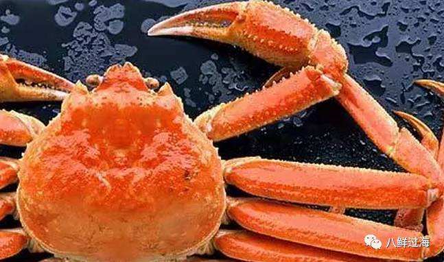 达人分享！螃蟹产地“空谷幽兰”