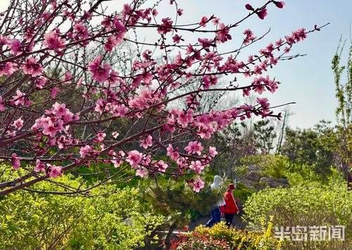 分析！怎样建立电子邮箱“桃红柳绿”