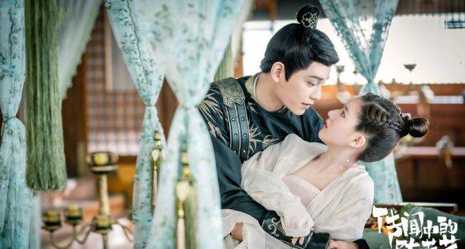 达人分享！nnt流量“空谷幽兰”