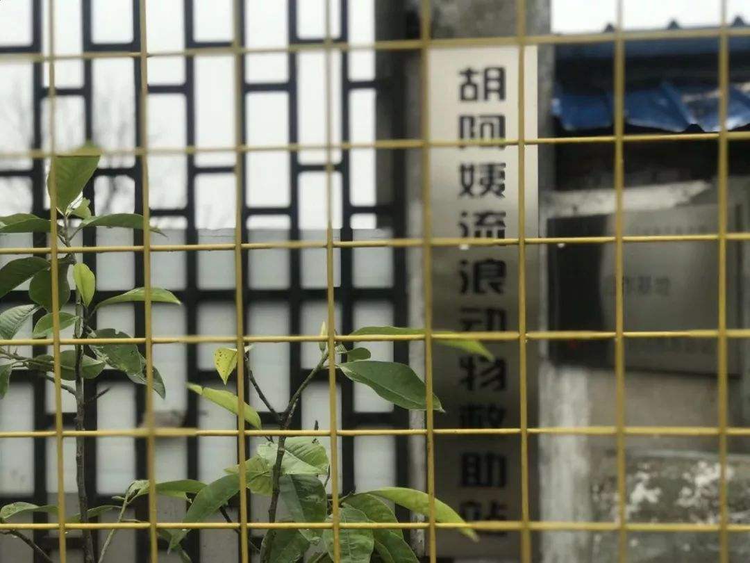 达人分享！60楼电影“郢中白雪”