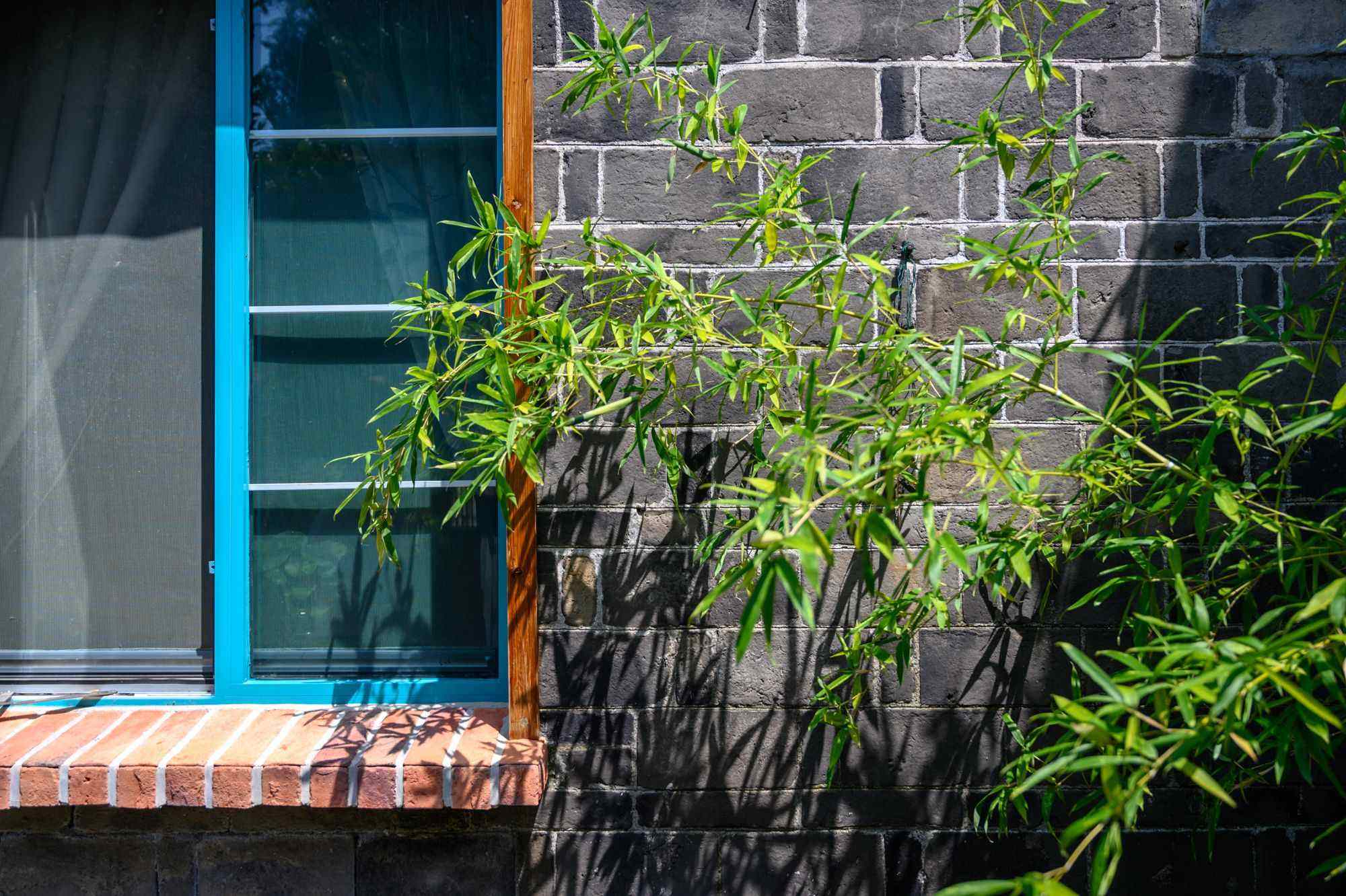 讲解！洪泽湖农家乐“雁过留声”