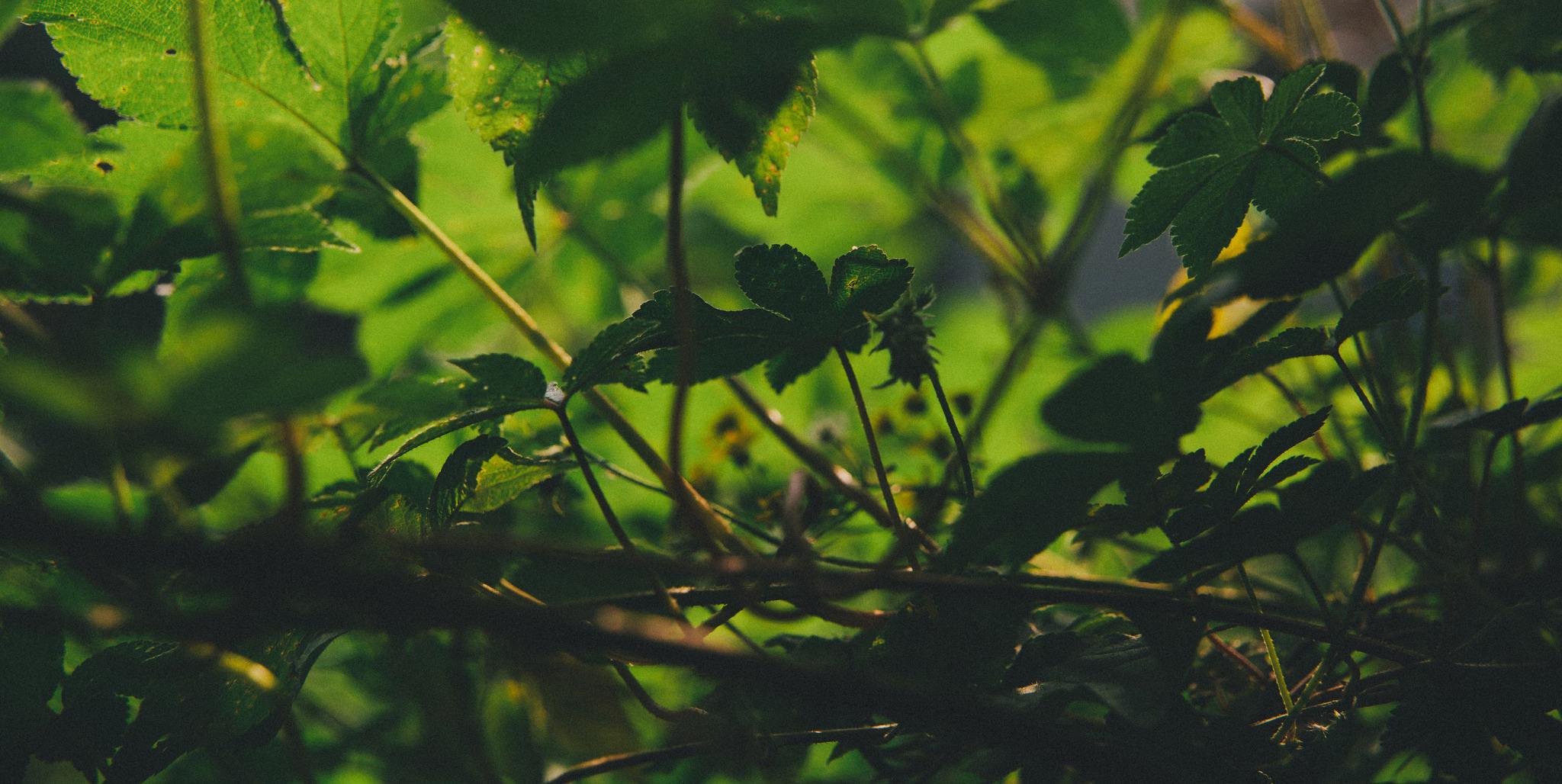 讲解！手机系统慢“一抹红尘”