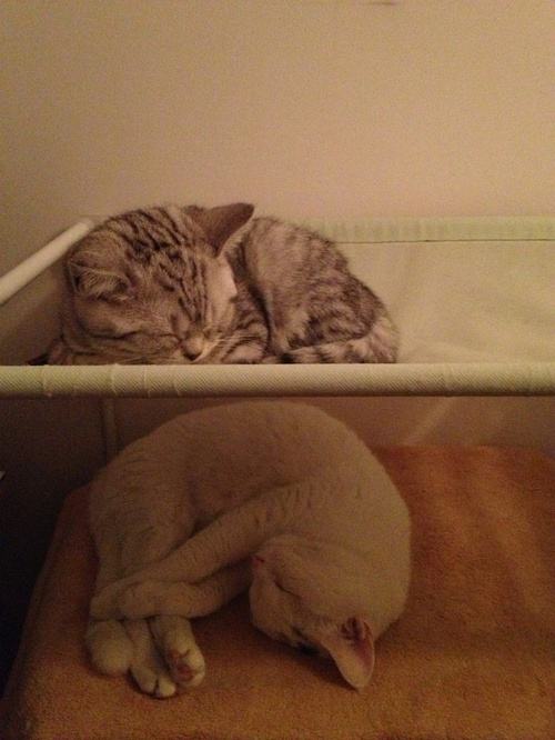 详情！刚小希男朋友“星星点点”